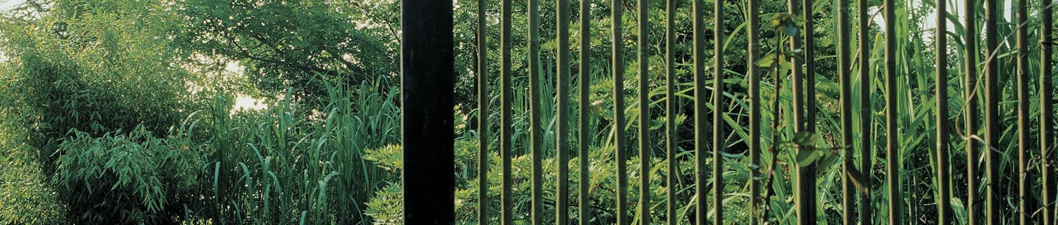 Seinäke jakaa pihan